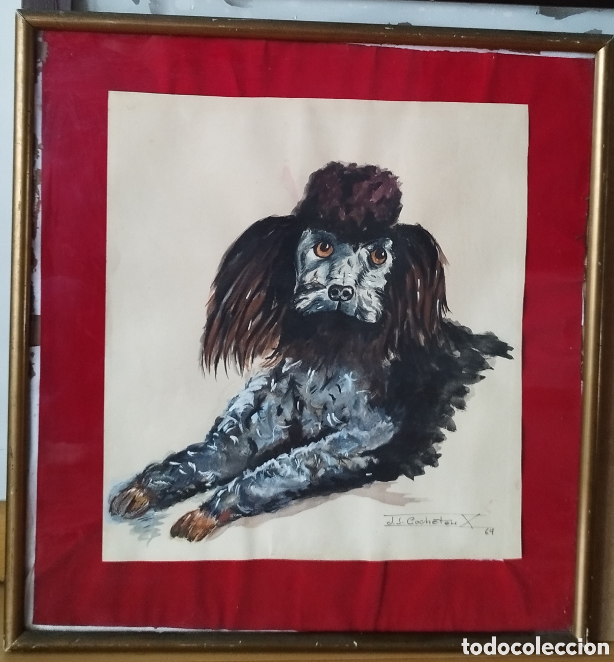 Arte: Cuadro retrato de un perro caniche toy