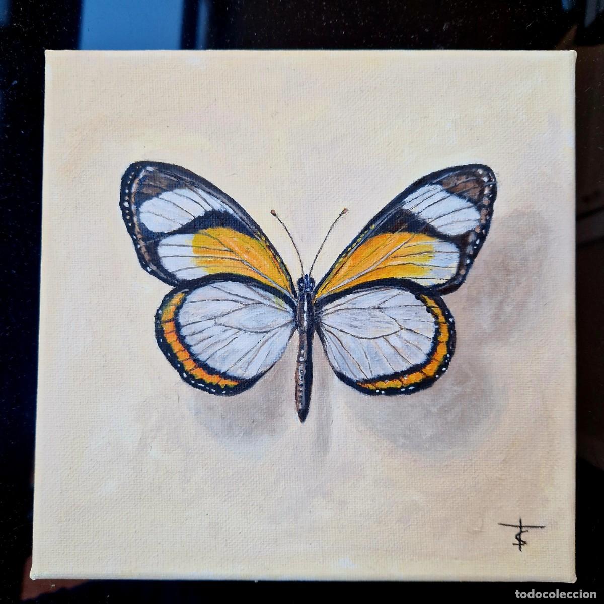Arte: Cuadro original &oacute;leo mariposa naranja pintura lienzo