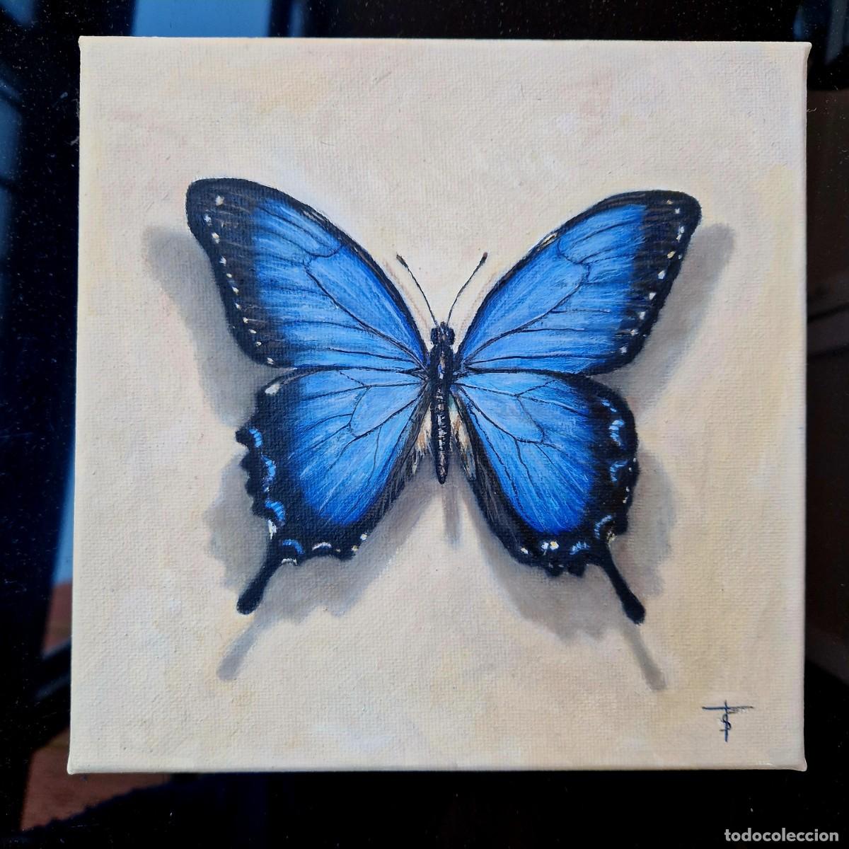 Arte: Cuadro original &oacute;leo mariposa azul pintura lienzo