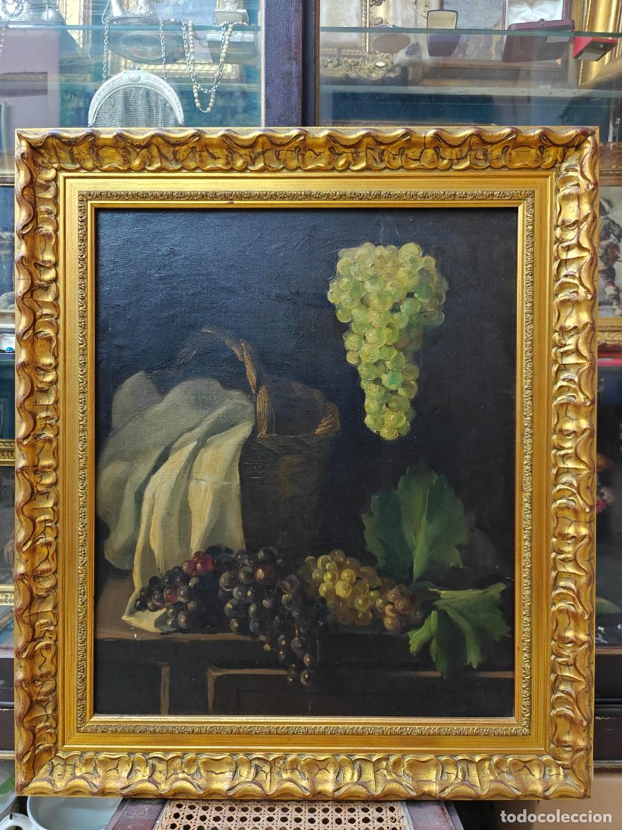 Arte: Magn&iacute;fico &oacute;leo sobre lienzo &rdquo;Bodeg&oacute;n con uvas &rdquo; firmado Cerezo Moreno
