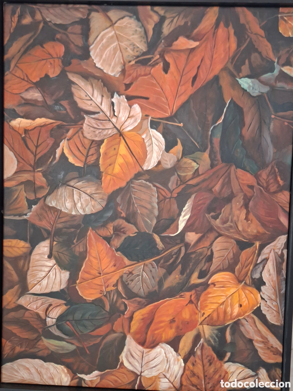 Art: Anne Dias 1985. Sound of a fall soil. Certificado de garant&iacute;a.