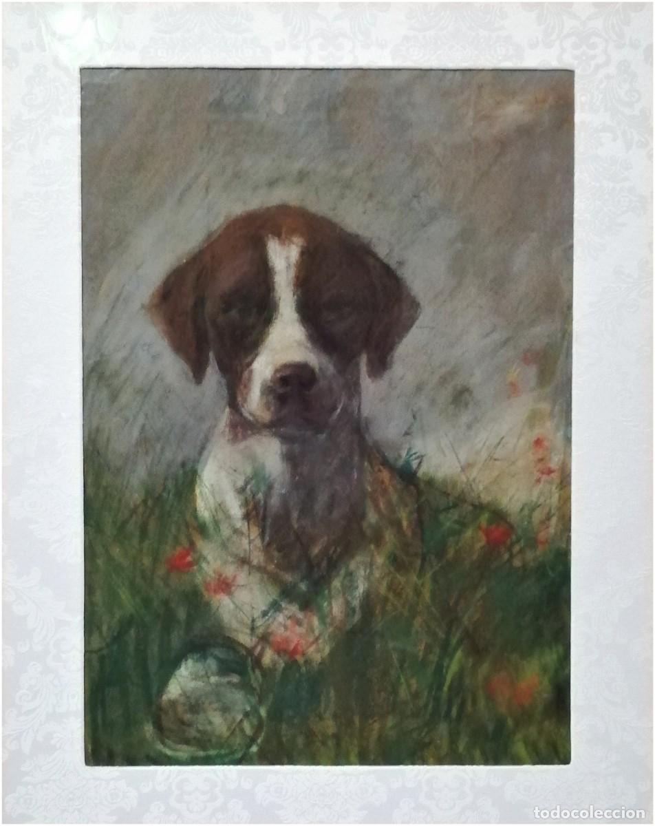 Arte: Pointer ingl&eacute;s. 1855. Adam Benno.