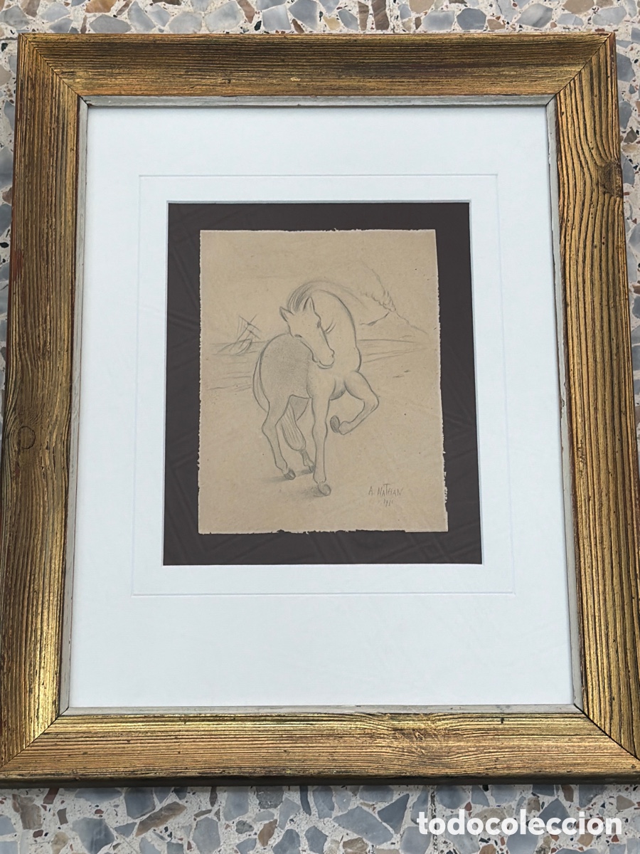 Arte: ARTURO NATHAN. &ldquo;Caballo&rdquo;. Dibujo