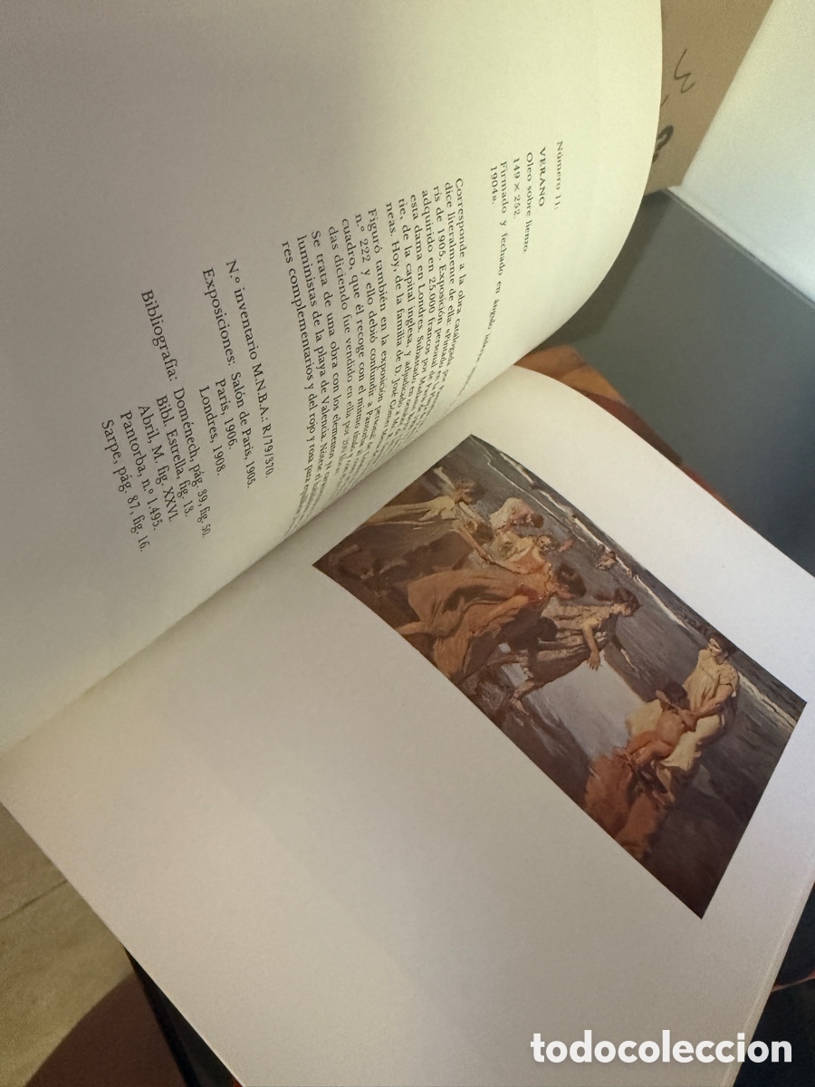 Arte: Libro los sorollas de La Habana - Foto 4