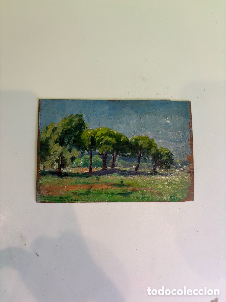 Kunst: Arturo Mart&iacute;nez Cabezas (1899) &ndash; Paisaje con pinos. &Oacute;leo sobre tabla.