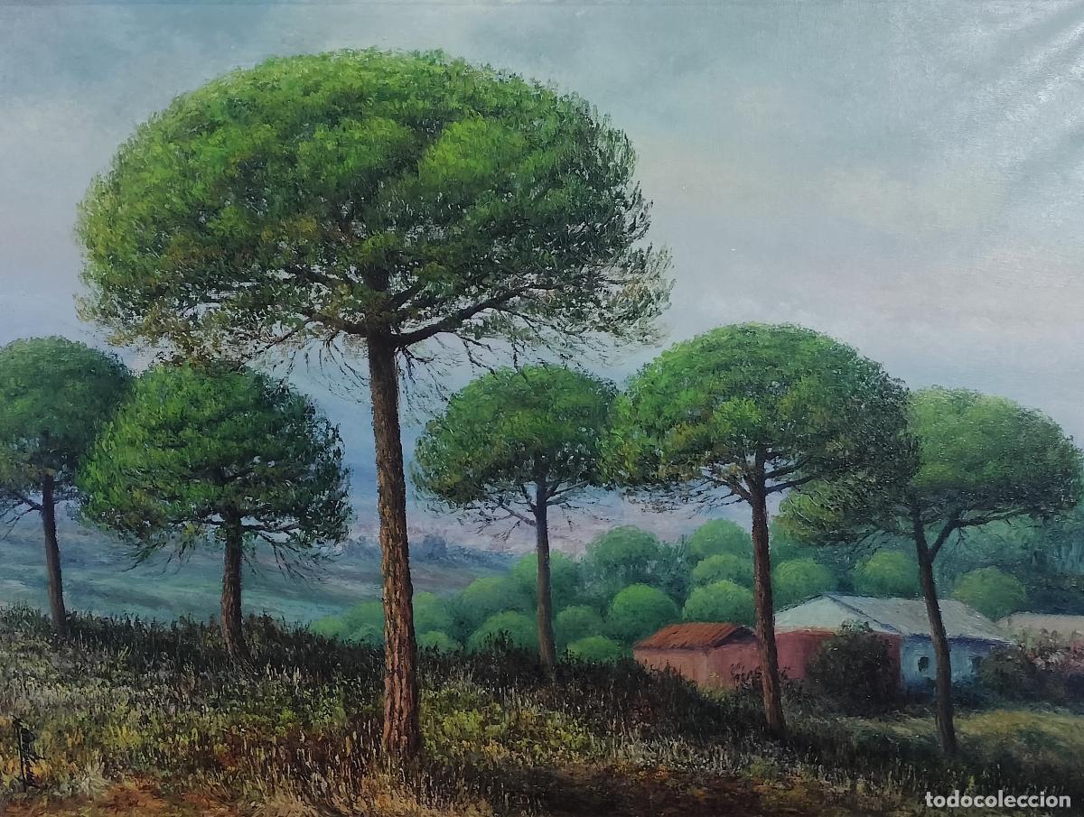Arte: PAISAJE CON PINOS PI&Ntilde;ONEROS Y MASIA. J. TARR&Eacute;S F&Eacute;NIZ. &Oacute;LEO SOBRE LIENZO. ESPA&Ntilde;A. SIGLO XX.