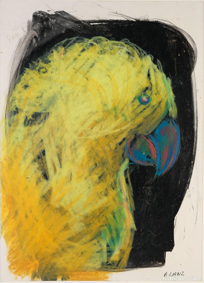 Arte: ALFREDO LANZ (Madrid, 1945) &Oacute;leo sobre papel titulado &rdquo;Cotorra Guarouba&rdquo; Firmado