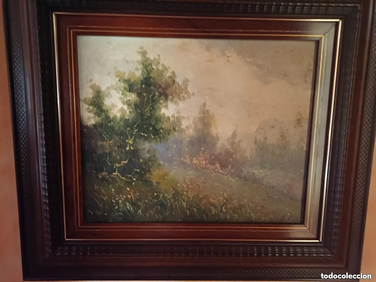 Arte: Oleo. Paisaje. J. Coll
