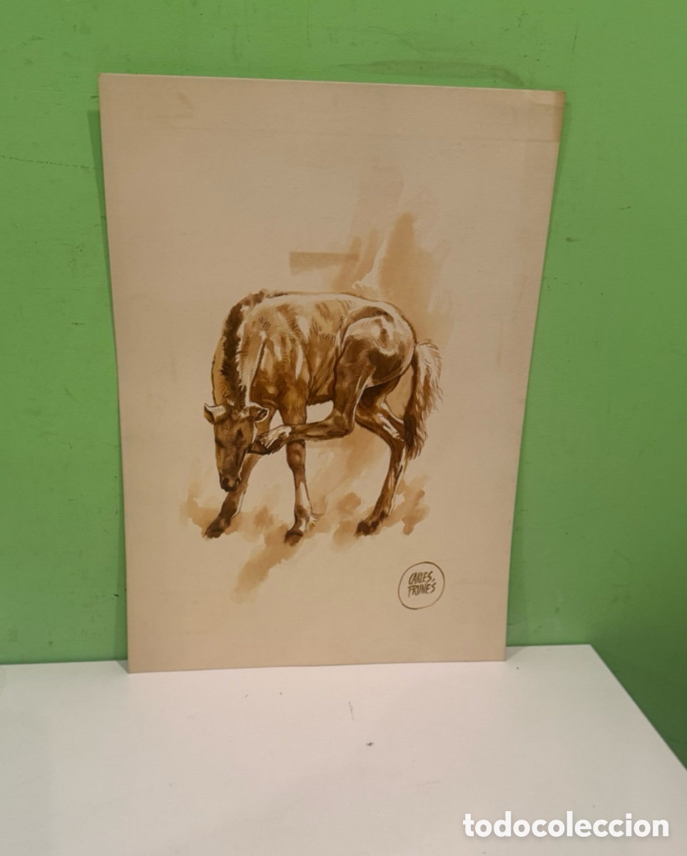 Arte: Carles Prun&eacute;s (1937-2017) &ndash; &Oacute;leo sobre papel, estudio de caballo &ndash; Firmado &ndash; 50 &times; 35 cm