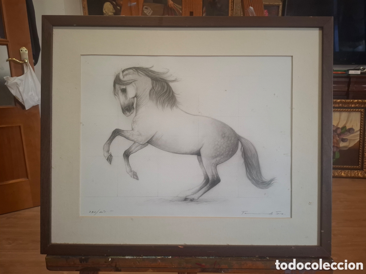 Arte: Lamina dibujo de fernando Toro 58x47