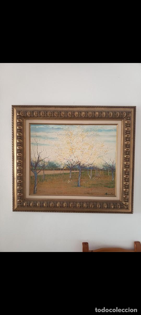 Arte: Paisaje huerto albaricoques