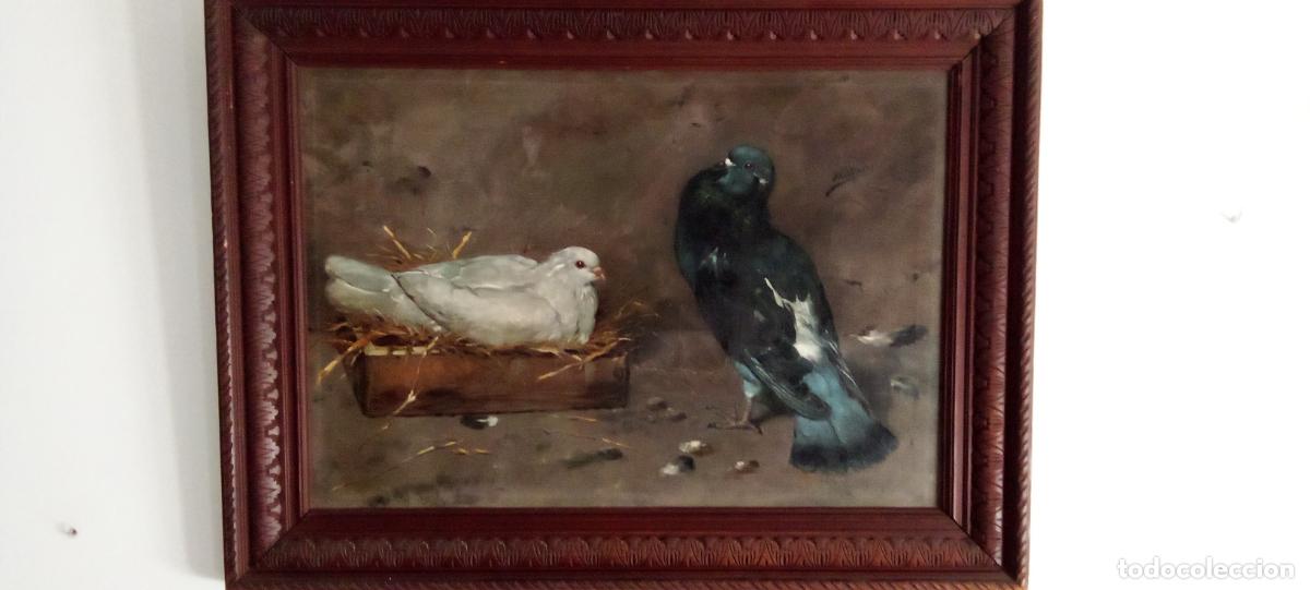 Arte: EMILIO MILLAN FERRIZ. PALOMAS EN PALOMAR.