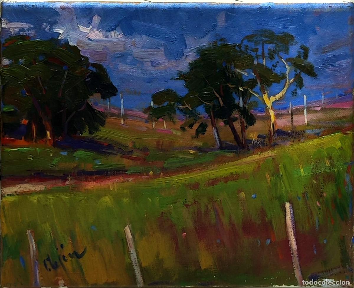 Arte: &Oacute;leo sobre lienzo. Paisaje rural. Ignacio Tejon. 27x22 cm