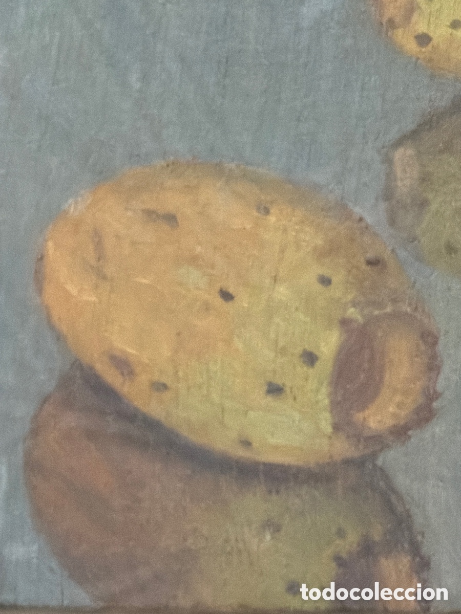 Arte: PEDRO BUENO &ldquo;HIGOS CHUMBOS&rdquo; - Foto 3