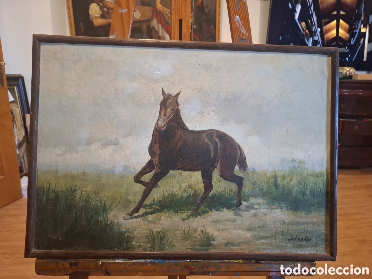 Arte: Oleo sobre lienzo caballo de juan padilla 64x45