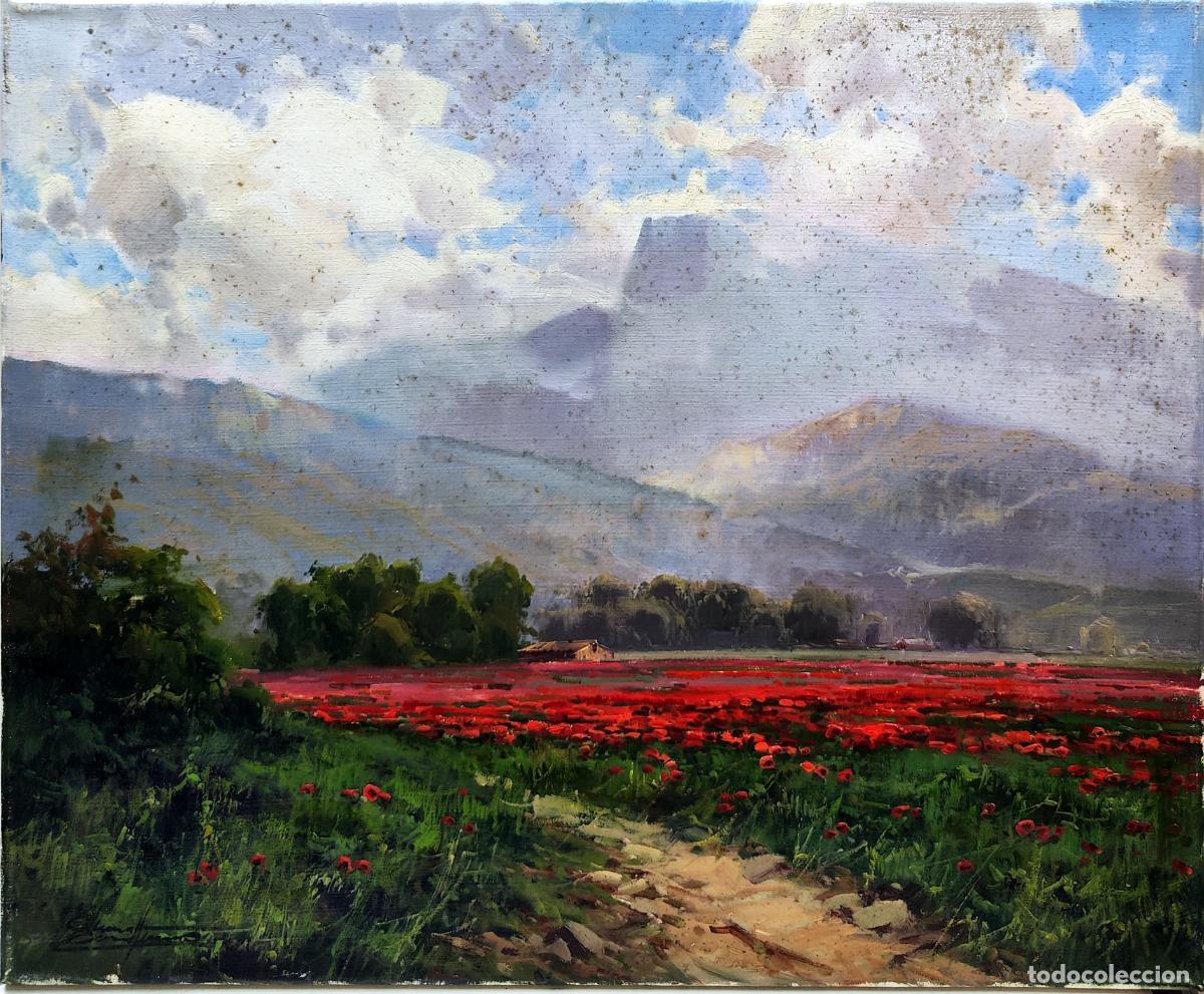 Arte: &Oacute;leo de campo de amapolas de Salvador Caballero