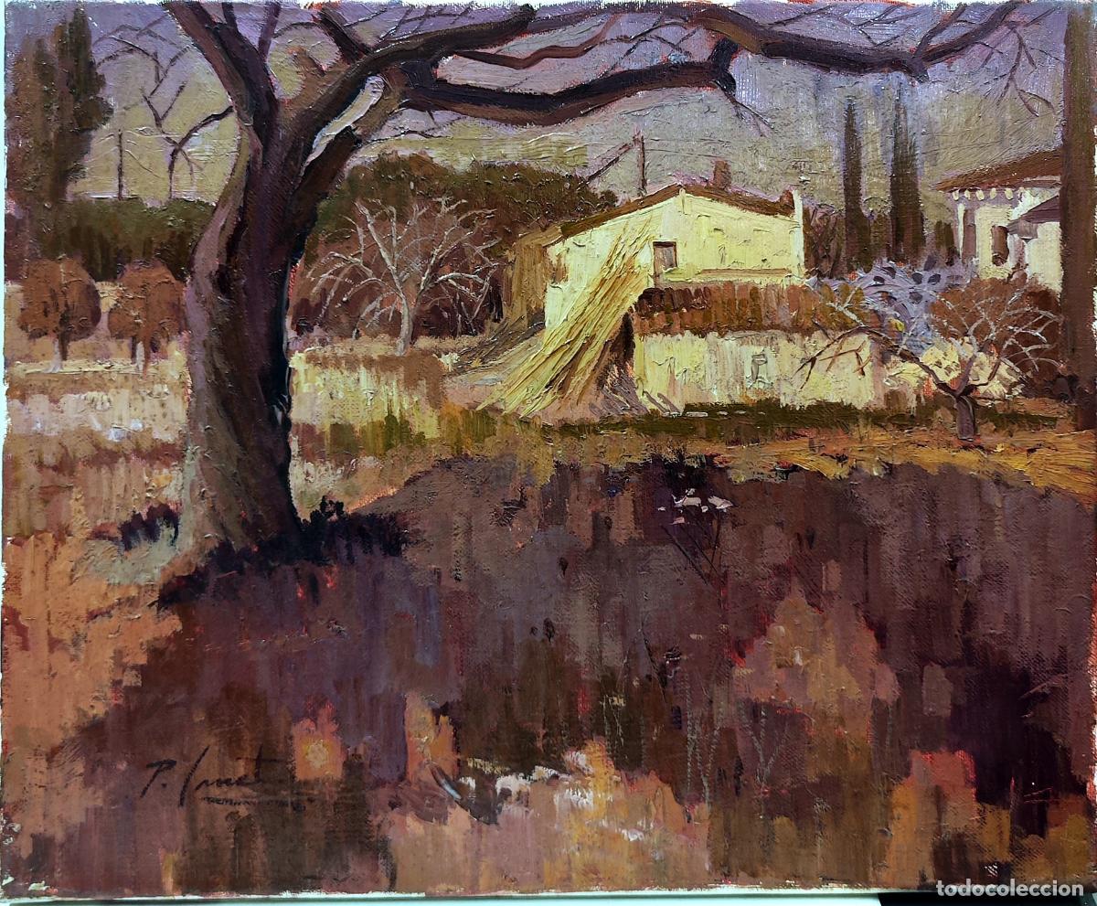 Arte: &Oacute;leo de Pep Canet. Paisaje rural con mas&iacute;a y olivo. 46x38 cm