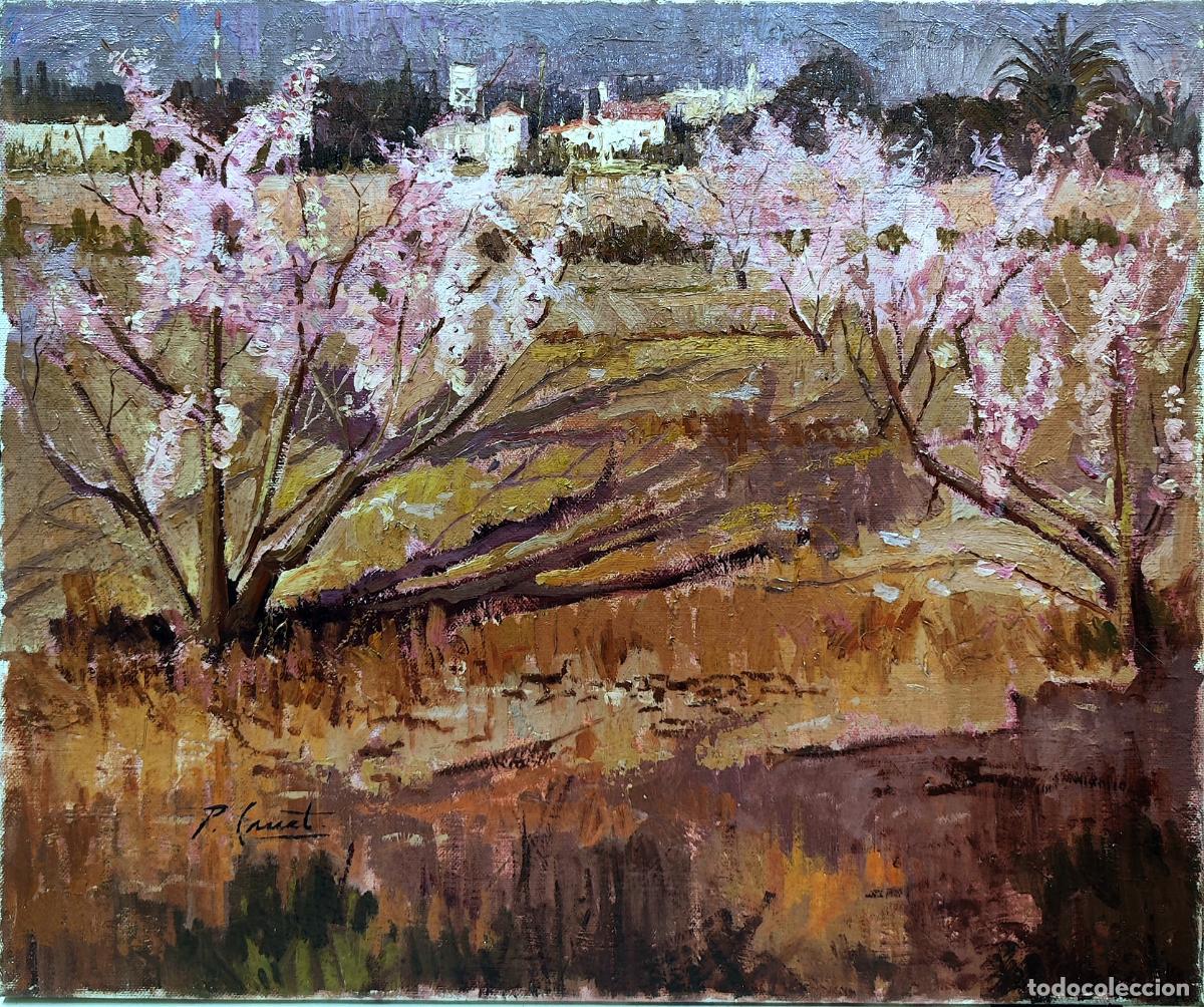Arte: &Oacute;leo de Pep Canet. Paisaje con almendros en flor. 55 x 46 cm