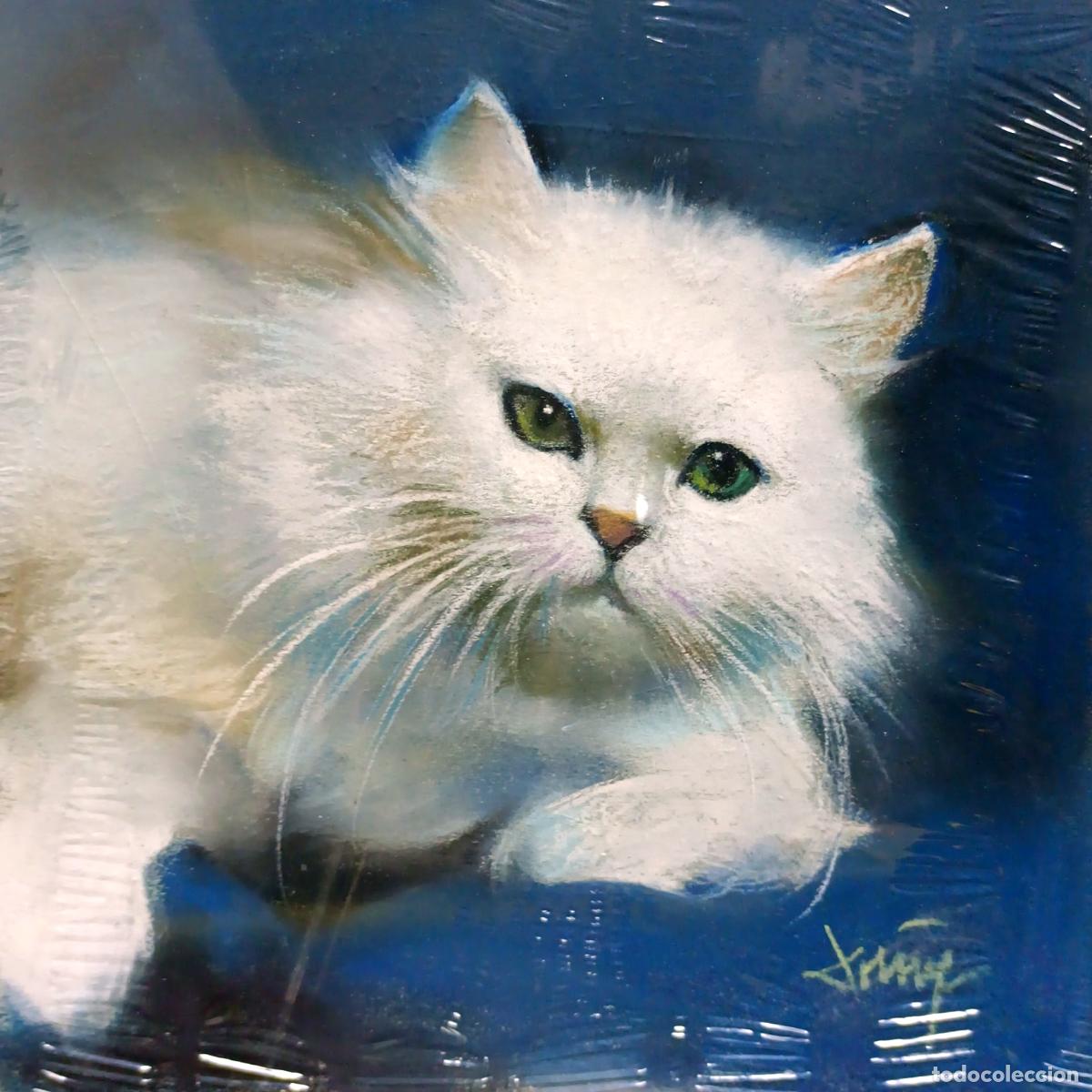 Arte: Pastel de Domingo &Aacute;lvarez G&oacute;mez. Gato blanco sobre fondo azul. 20x20