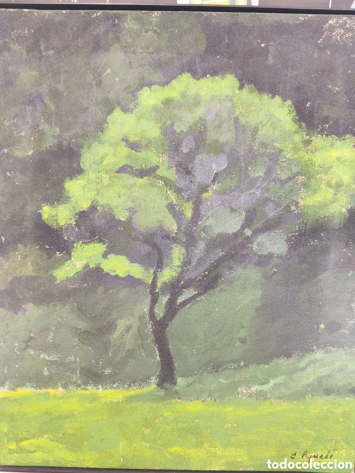 Arte: Oleo Carme Aguad&eacute; 63cm x 52cm