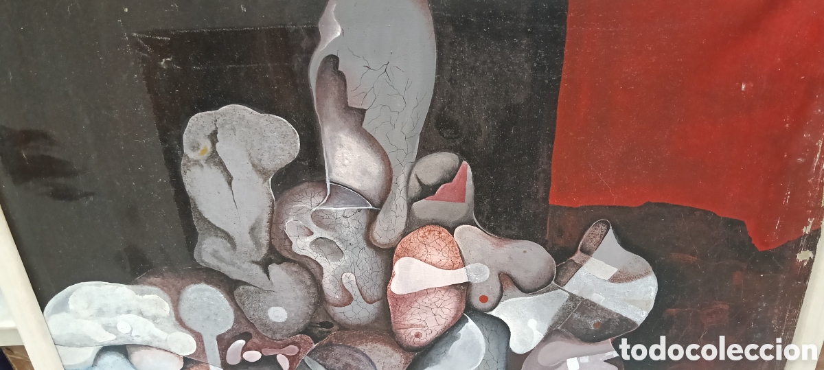 Arte: Bonito &oacute;leo con marco - Foto 2