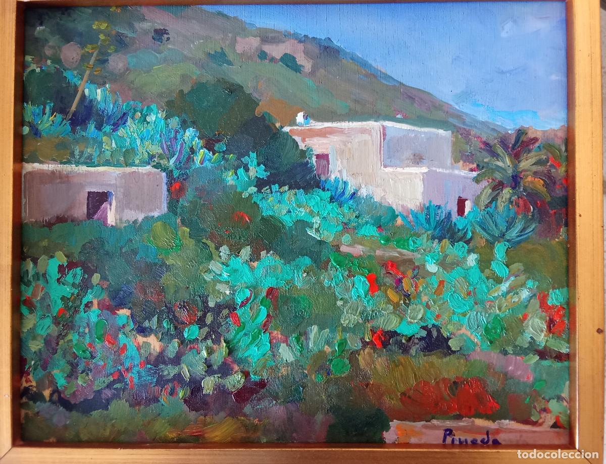 Arte: ANTONIO PINEDA SALMER&Oacute;N - CORTIJOS DE SIERRA CABRERA -MOJACAR -ALMER&Iacute;A-