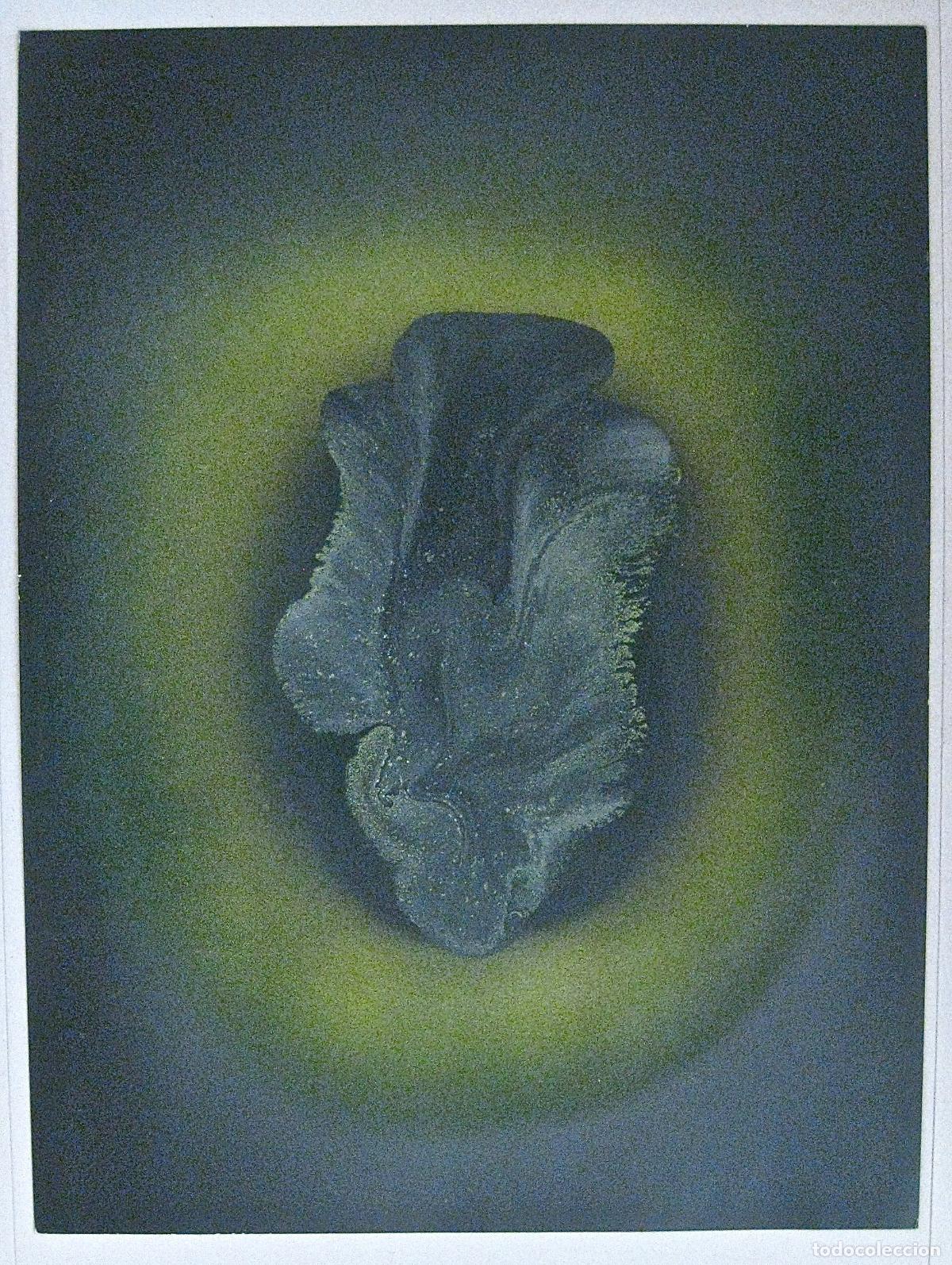 Arte: JOSE ORUS * FLOR-FOSIL * IMPORTANTE Y RARA PINTURA DE 1990 * IMFORMALISMO