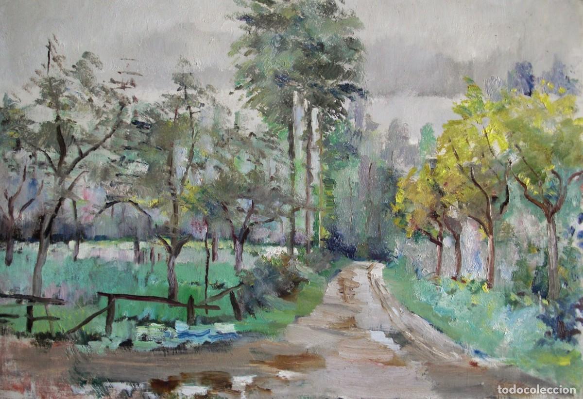 Arte: Escuela catalana, &oacute;leo/lienzo 61 x 46 cm. Paisaje. Con marco.