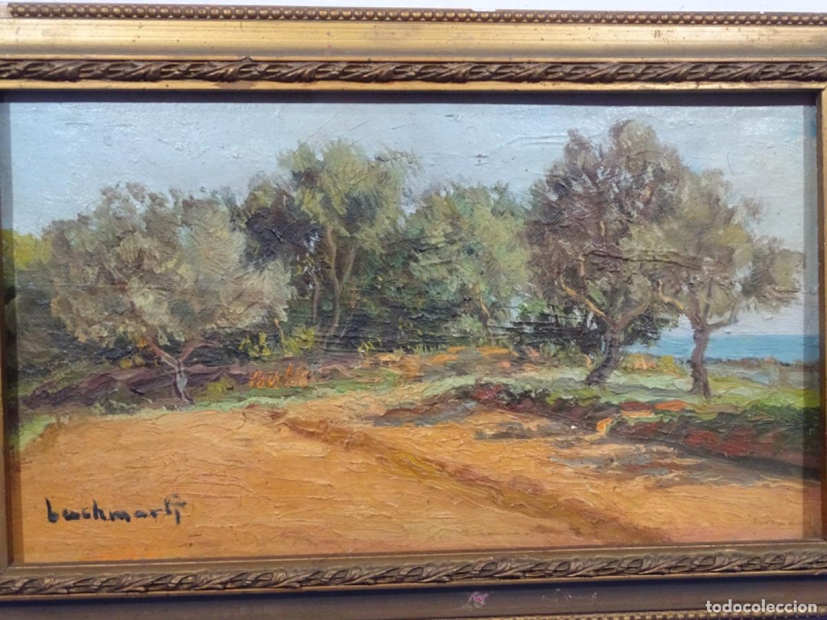 Arte: &Oacute;LEO SOBRE TELA FIRMA BACH MARTI ? PAISAJE A&Ntilde;OS 60