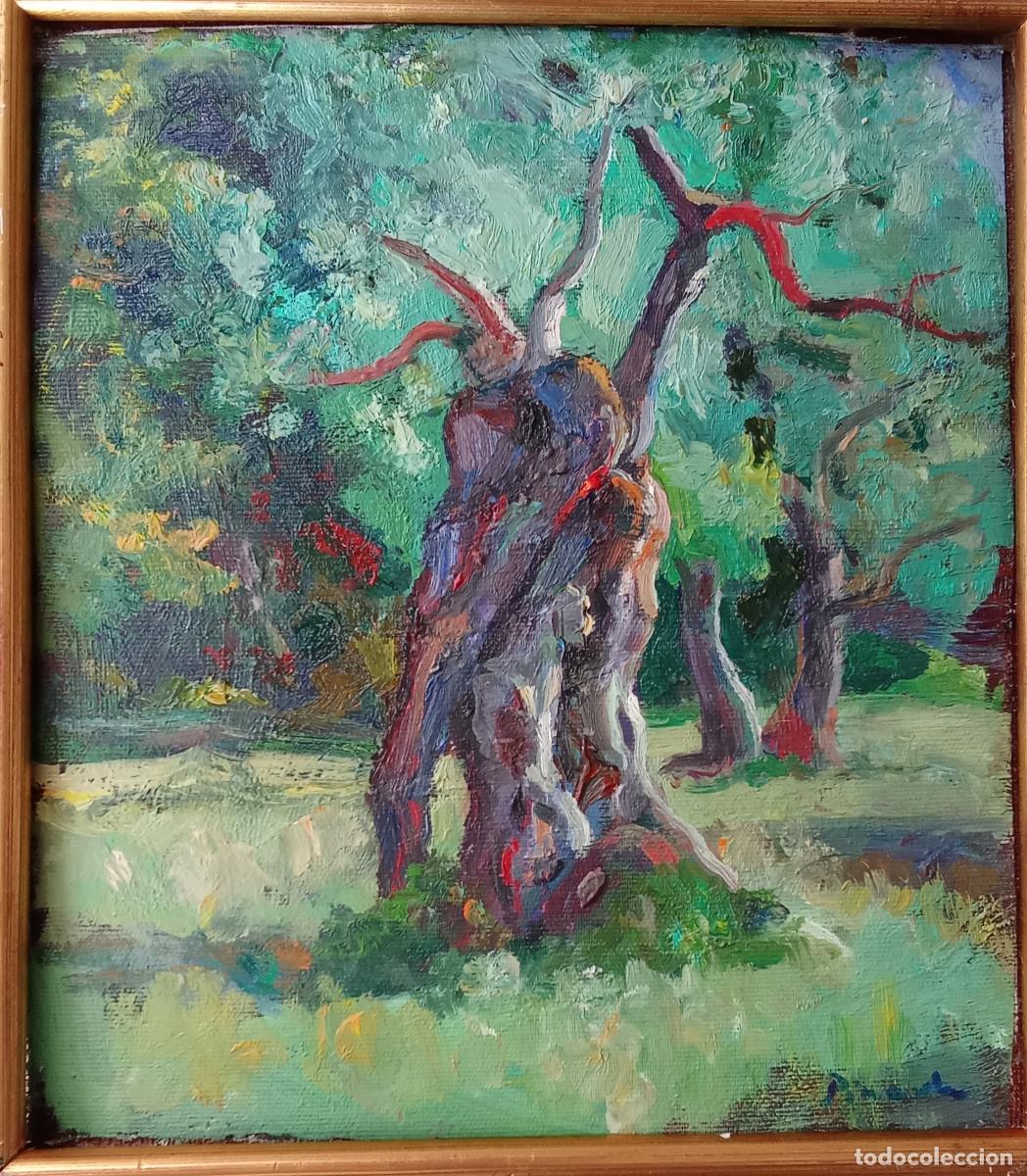Arte: ANTONIO PINEDA SALMER&Oacute;N - OLIVERES -VALL D'EN MARCH-POLLEN&Ccedil;A-MALLORCA-