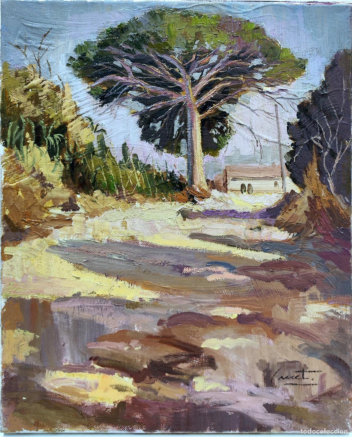 Arte: &Oacute;leo sobre lienzo. Paisaje con pino. Pep Canet. 33 x 41 cm