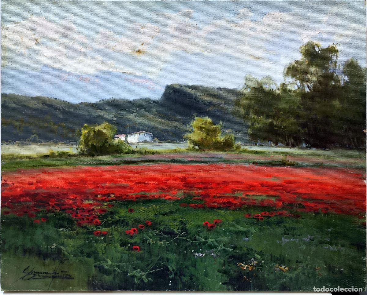 Arte: &Oacute;leo sobre lienzo. Paisaje con amapolas. Salvador Caballero. 41x33 cm