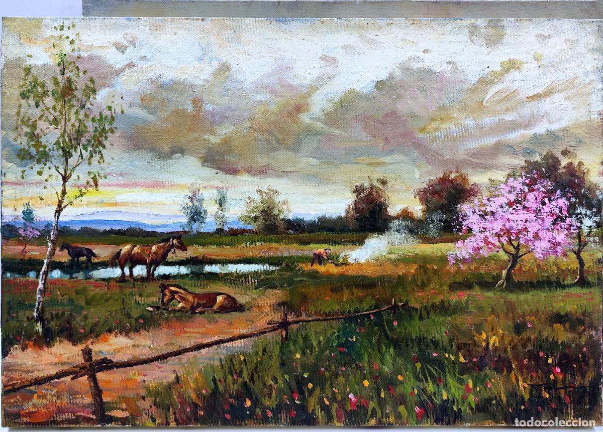 Arte: &Oacute;leo sobre lienzo. Paisaje con caballos. Autor ilegible. 46 x 33 cm