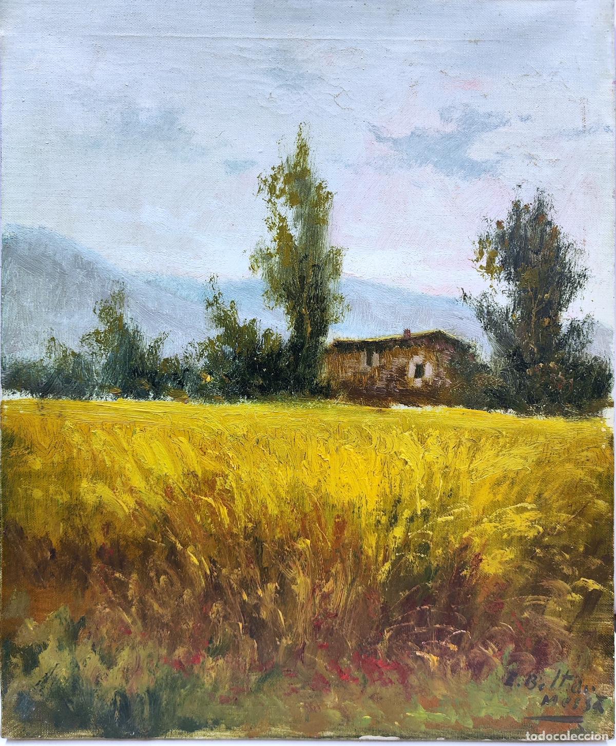 Arte: &Oacute;leo sobre lienzo. Paisaje con campo de trigo. Enric Beltr&aacute;n Messa. 38x46