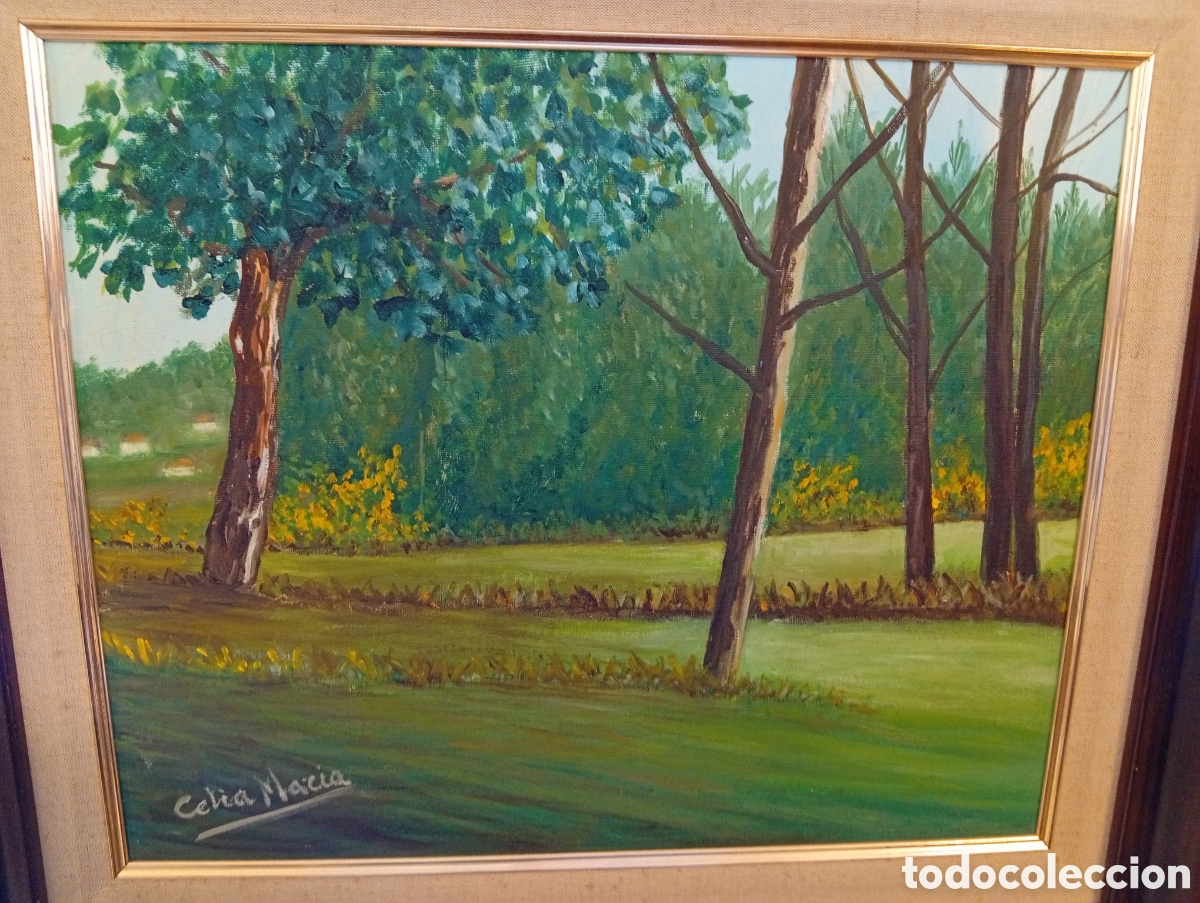 Arte: Pintura gallega oleo firmado Celia Macia