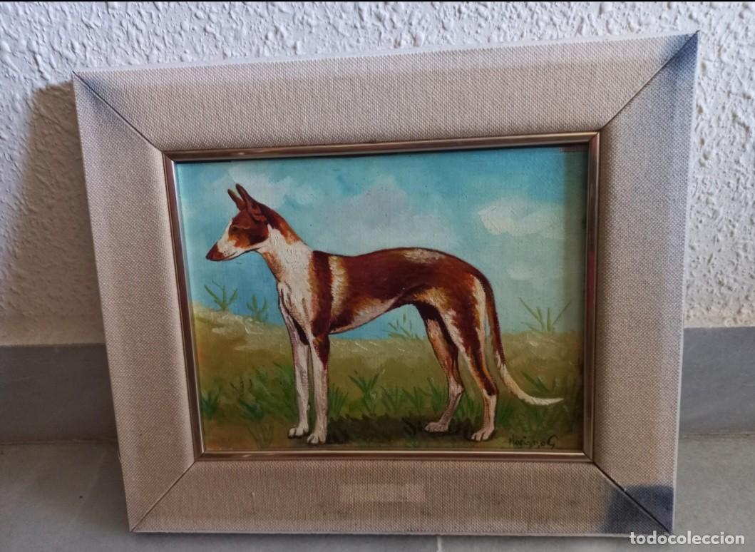 Arte: &Oacute;leo Original Miniatura - Retrato Perro Podenco (Mariano G.)