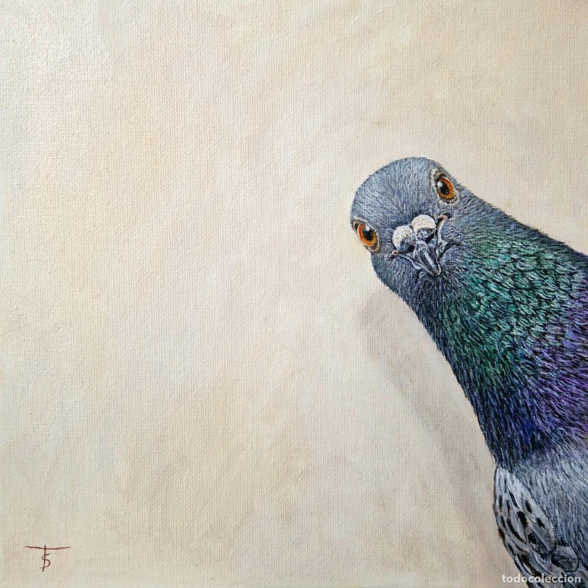 Arte: Cuadro paloma original oleo pintura