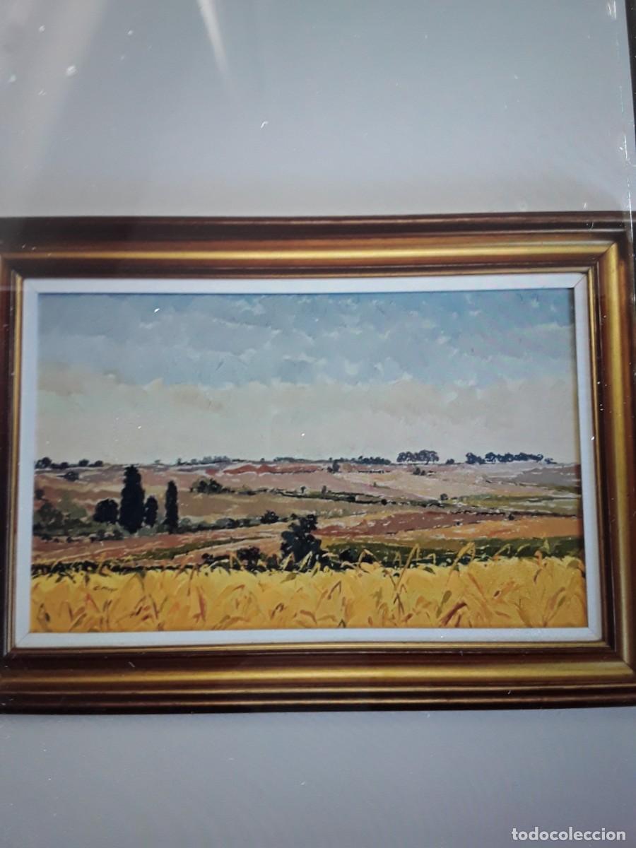 Arte: Pintura &oacute;leo CARMEN MAYOR