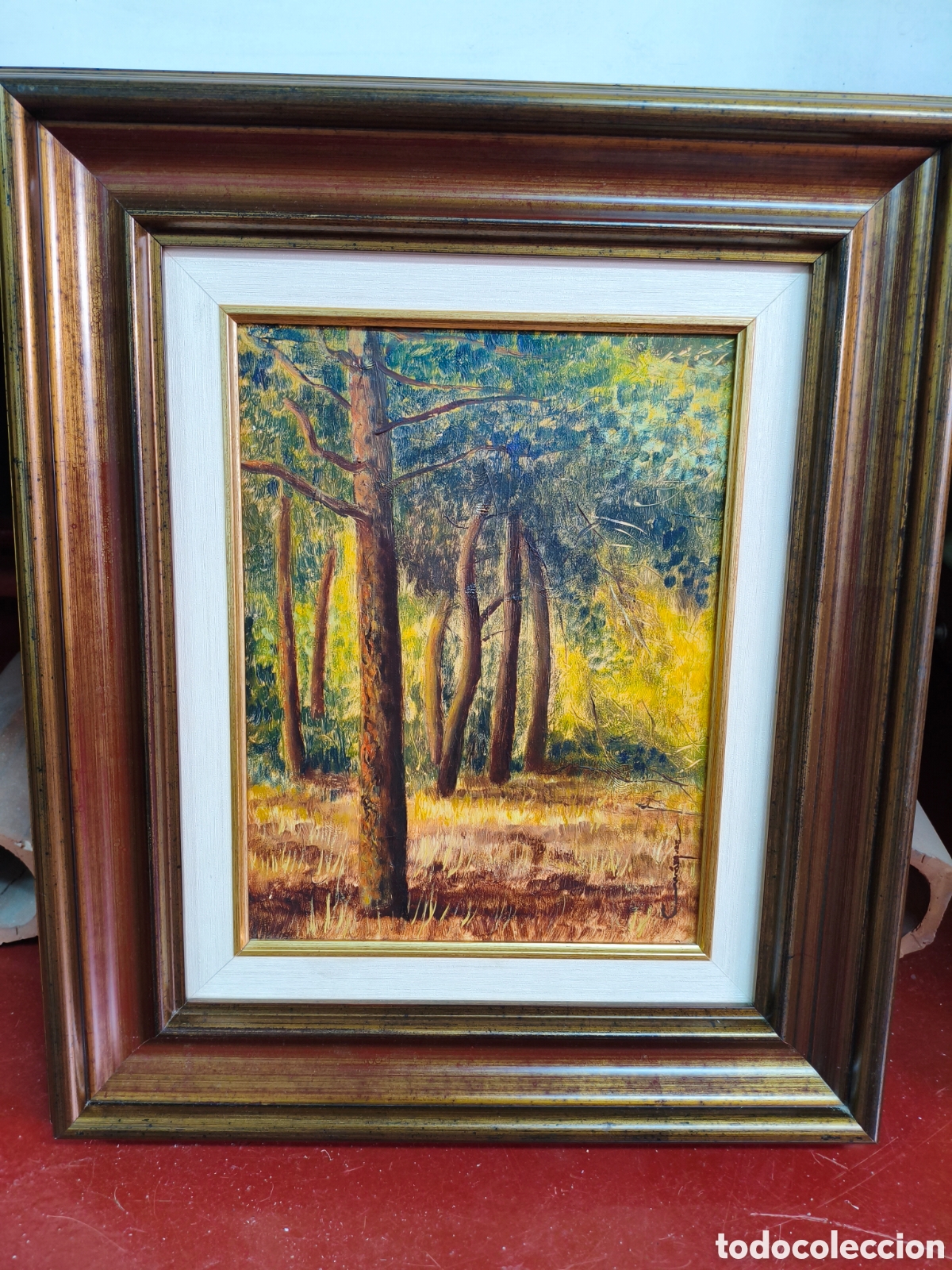 Arte: &Oacute;leo sobre lienzo - Paisaje de bosque / Pinar - Firmado C. M&aacute;rquez - Medidas 57 x 48,5 cm