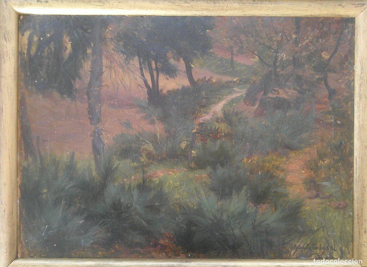 Art: AURELI TOLOSA I ALSINA-BOSQUE-