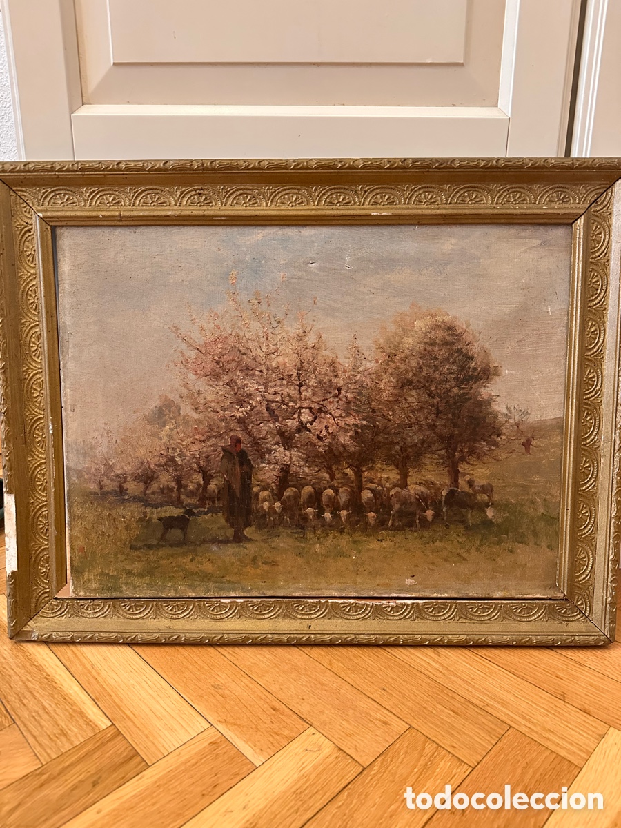 Arte: &Oacute;leo Franc&eacute;s Naturalista XIX
