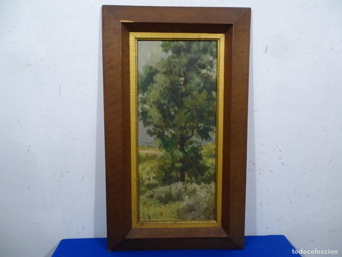 Art: &Oacute;LEO SOBRE TELA FIRMADO F. ARIMANY 1904. ESCUELA CATALANA. PAISAJE.