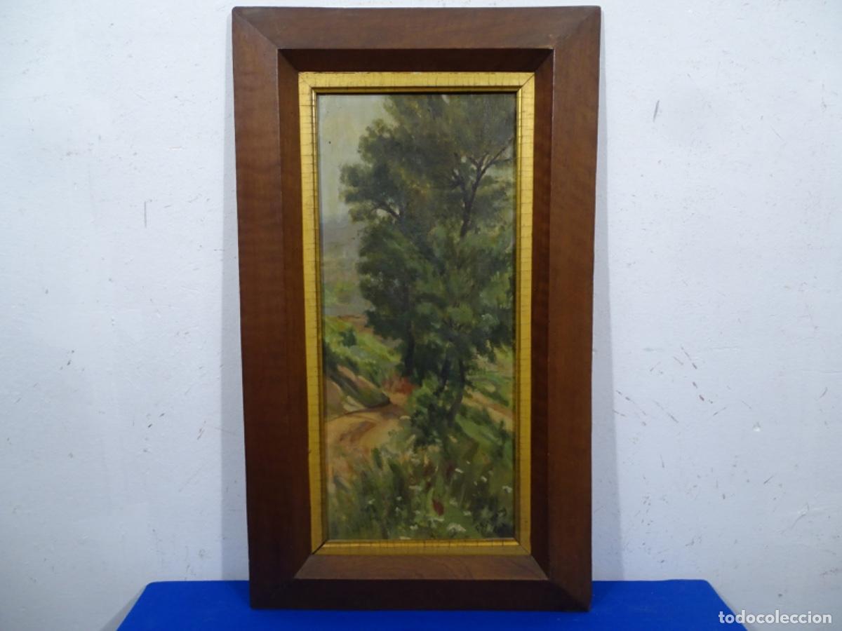 Art: &Oacute;LEO SOBRE TELA FIRMADO F. ARIMANY 1904. ESCUELA CATALANA. PAISAJE.