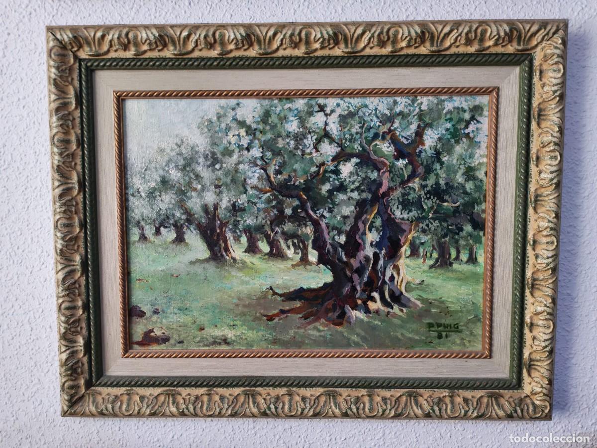 Arte: &Oacute;leo sobre lienzo - Paisaje / Campo de olivos centenarios - Firmado por P. Puig (1981) - Medidas 64x