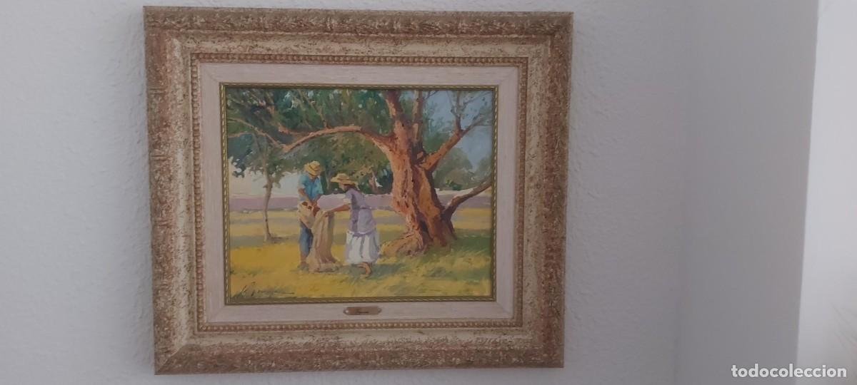 Arte: Oleo sobre lienzo P. Veracruz