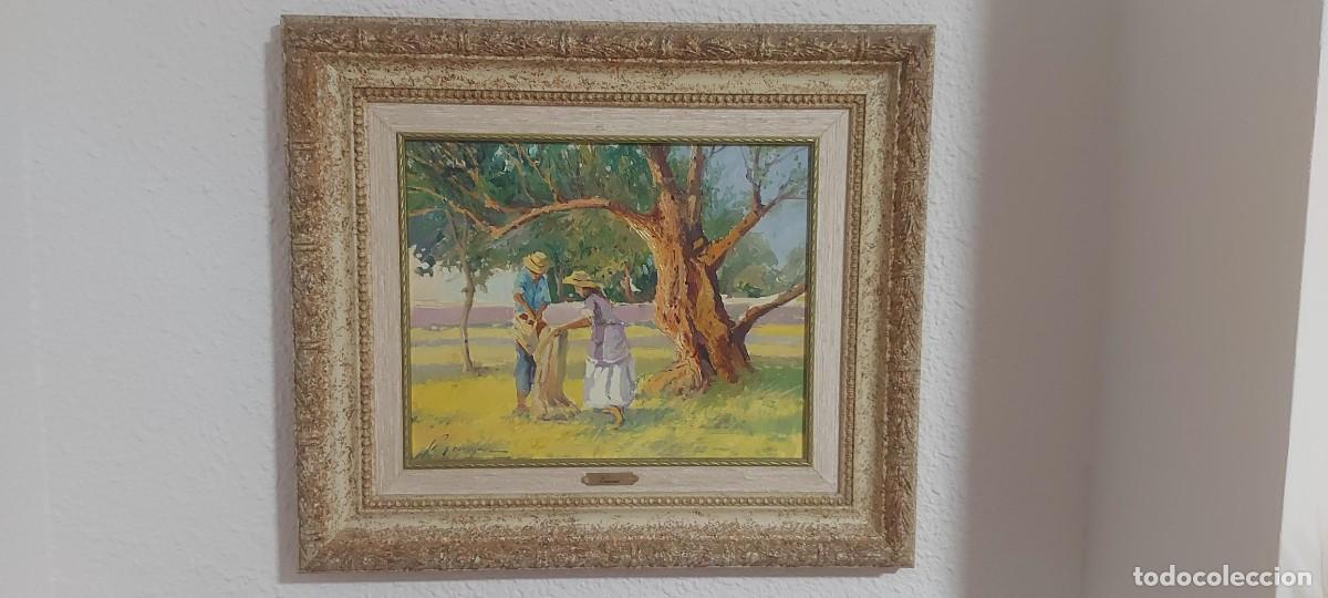 Arte: Oleo sobre lienzo P. Veracruz - Foto 4