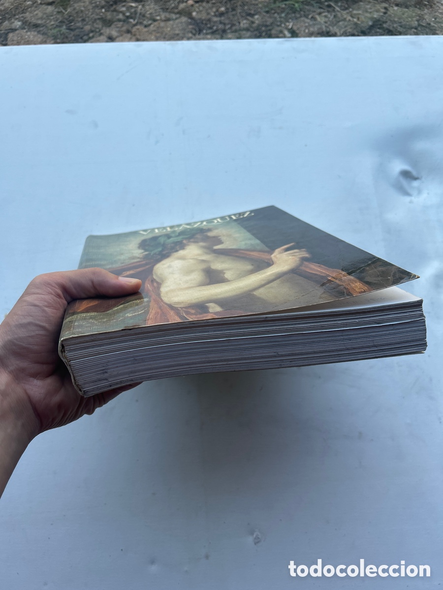 Arte: Libro Cat&aacute;logo Exposici&oacute;n Vel&aacute;zquez - Museo del Prado 1990 - Foto 2