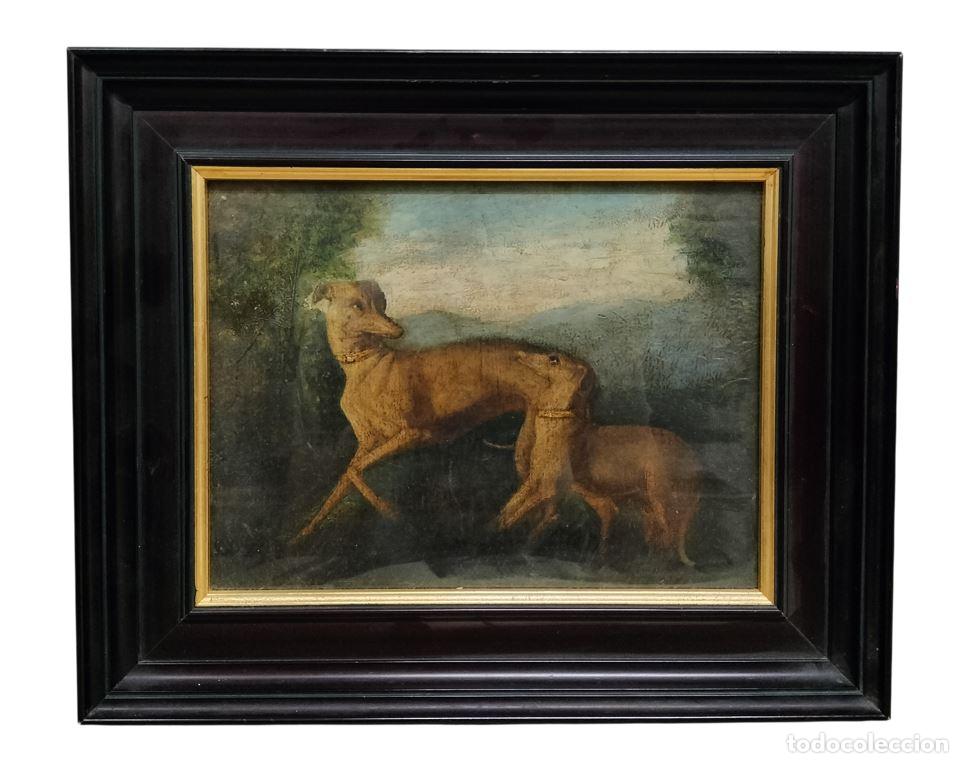 Arte: PAREJA DE GALGOS DE CAZA. AN&Oacute;NIMO. &Oacute;LEO SOBRE TABLA. EUROPA. SIGLO XVIII.