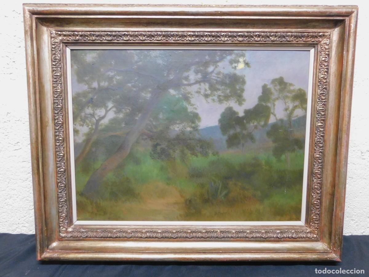 Kunst: &Oacute;LEO SOBRE TELA - PAISAJE SIN FIRMA