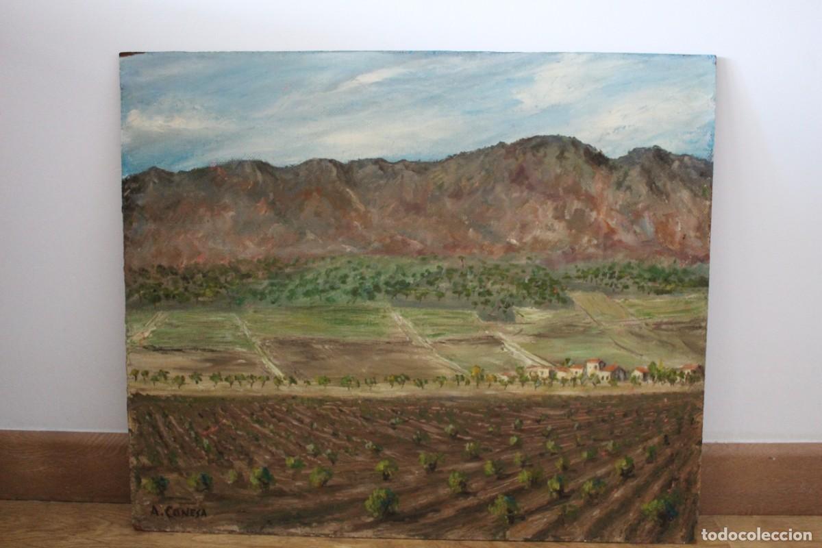 Arte: &Oacute;leo sobre tabla &rdquo;Paisaje de Jumilla&rdquo; de Antonio Conesa Morales